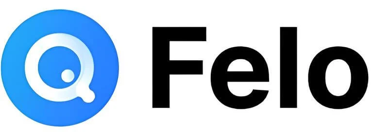 Felo Agent